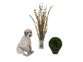 小狗植物3d模型