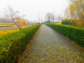 冬季的公园小路