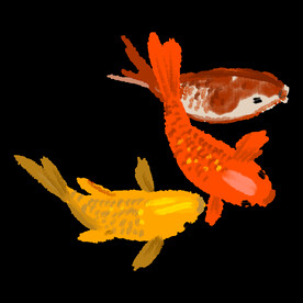 锦鲤元素图片