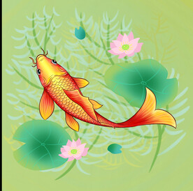 锦鲤元素图片