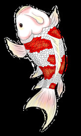 锦鲤元素图片