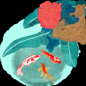 锦鲤元素图片