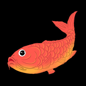 锦鲤元素图片
