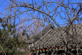 公园风景