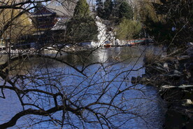 公园风景