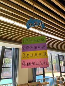 环创  海豚