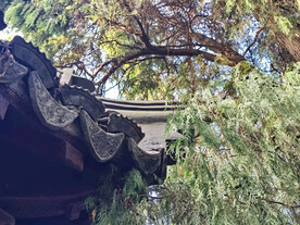 中式古建筑屋檐