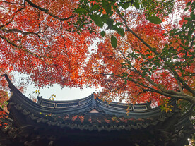 红色枫叶和中式建筑屋檐