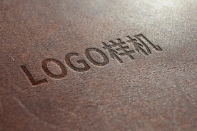 logo样机