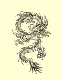 龙 