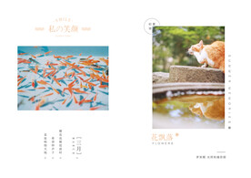 夏的记忆日系写真画册相册