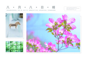 日系写真画册相册留着夏的记忆