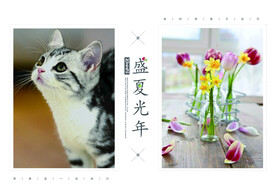 日系写真画册相册留着夏的记忆