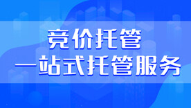 互联网背景
