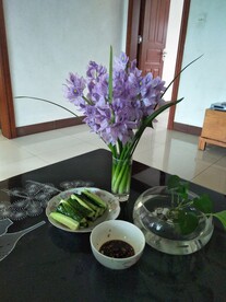 水仙花 