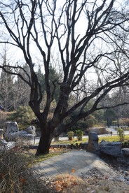 公园风景 