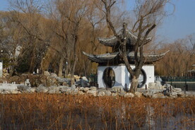 公园风景 
