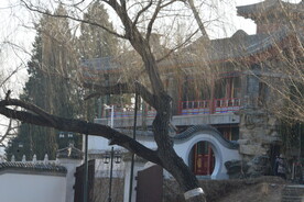 公园风景 