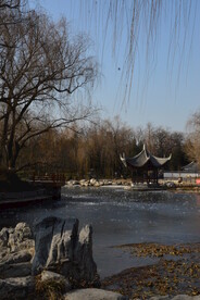 公园风景