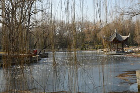 公园风景 