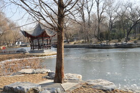 公园风景 