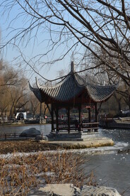 公园风景 