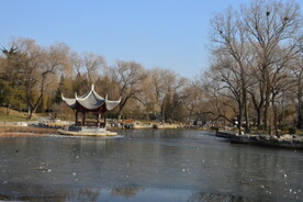 公园风景