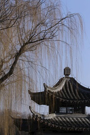 公园风景 