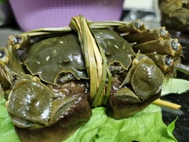 大闸蟹