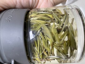 白毫银针