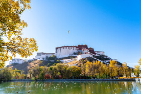 西藏拉萨布达拉宫与红嘴鸥