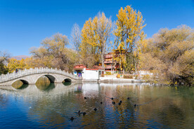 西藏拉萨宗角禄康公园龙王宫