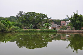 外营村