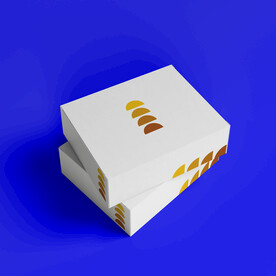 纸盒包装盒贴图样机