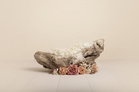 新生儿合成背景JPG格式