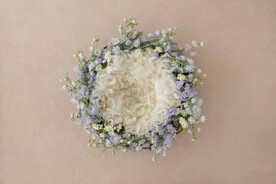 新生儿合成背景JPG格式