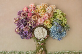 新生儿合成背景JPG格式