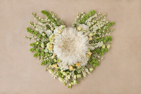 新生儿合成背景JPG格式