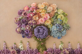 新生儿合成背景JPG格式