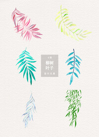 清新柳树叶子