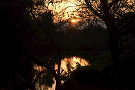夕阳