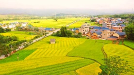 田园风光