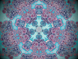 数码印花