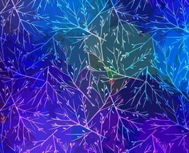 数码印花