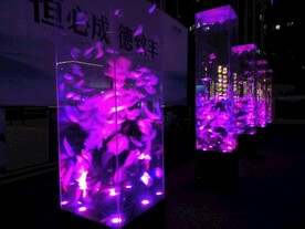 灯光装置