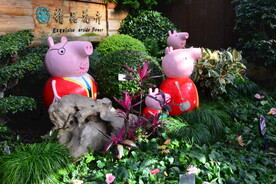 温室花草风景 