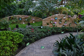 温室花草风景
