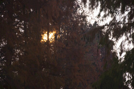 夕阳