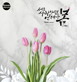 贺卡明信片卡片元素