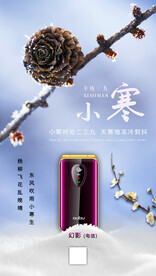  二十四节气小寒海报